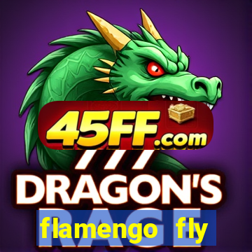 flamengo fly emirates ultimas noticias